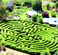Wandiligong Maze - Accommodation Coffs Harbour