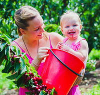 Cherryhill Orchards - Accommodation Coffs Harbour