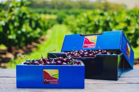 Cherryhill Orchards - Accommodation Coffs Harbour 3