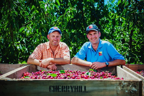 Cherryhill Orchards - Accommodation Coffs Harbour 5