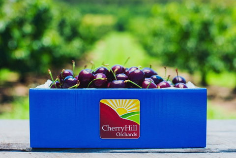 Cherryhill Orchards - Accommodation Coffs Harbour 8