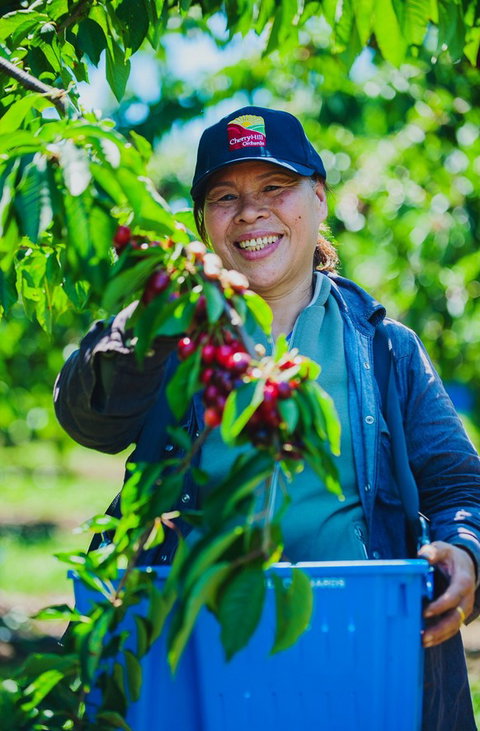 Cherryhill Orchards - Accommodation Coffs Harbour 11