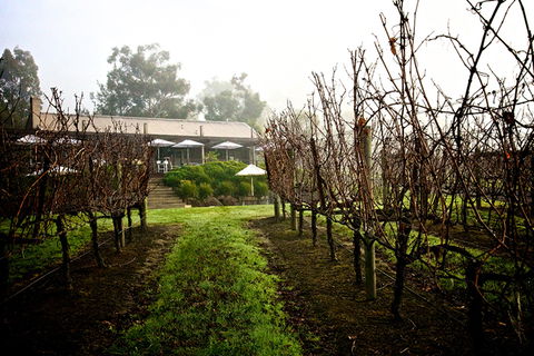 GREENSTONE VINEYARDS - Accommodation Coffs Harbour 4