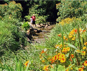 Bonaira Native Gardens - Accommodation Coffs Harbour 0