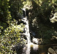 Macquarie Pass National Park - Accommodation Coffs Harbour