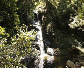 Macquarie Pass National Park - Accommodation Coffs Harbour 0