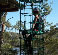 Trees Adventure Shoalhaven - Accommodation Coffs Harbour