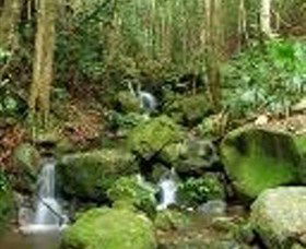 Budderoo National Park - Accommodation Coffs Harbour 0