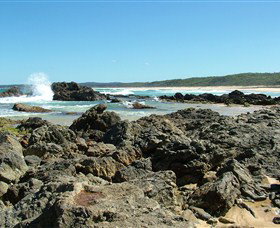 Coastal Walks - Bermagui - Accommodation Coffs Harbour 0