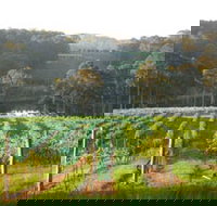 Tilba Valley Wines - Accommodation Coffs Harbour