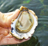 The Oyster Pot - Accommodation Coffs Harbour