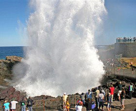 Kiama Blowhole - Accommodation Coffs Harbour 0