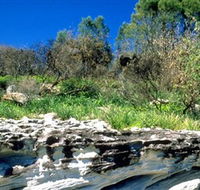 Abrahams Bosom Reserve - Accommodation Coffs Harbour