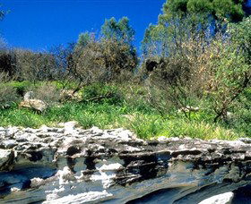Abrahams Bosom Reserve - Accommodation Coffs Harbour 0