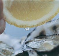 Pearly Oyster Bar and Farm - Accommodation Coffs Harbour