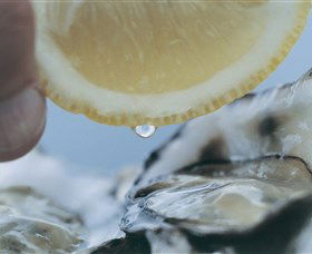 Pearly Oyster Bar And Farm - Accommodation Coffs Harbour 0