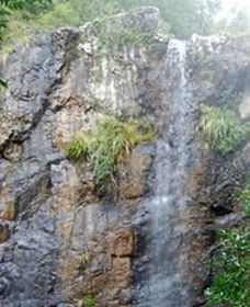 Wedding Bells Forest Drive - Accommodation Coffs Harbour 0