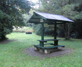 Pine Creek State Forest - Accommodation Coffs Harbour 0