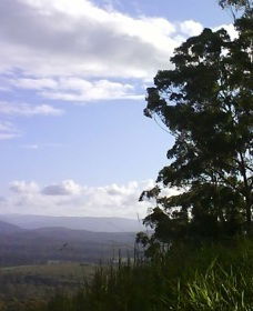 Sherwood Nature Reserve - Accommodation Coffs Harbour 0