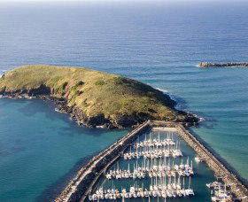 Muttonbird Island Nature Reserve - Accommodation Coffs Harbour 0