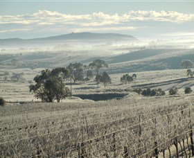 Kurrajong Downs Wines Vineyard - Accommodation Coffs Harbour 1