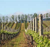 Philip Shaw Wines - Accommodation Coffs Harbour