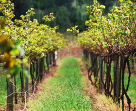 Fussy Grape Winery - Accommodation Coffs Harbour 2