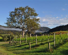 Sarabah Estate Vineyard - Accommodation Coffs Harbour 1