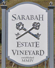 Sarabah Estate Vineyard - Accommodation Coffs Harbour 3