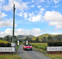 Sarabah Estate Vineyard - Accommodation Coffs Harbour