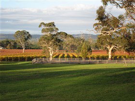 Top Note Vineyard - Accommodation Coffs Harbour 0