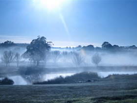 Top Note Vineyard - Accommodation Coffs Harbour 3