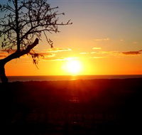 Rocky Ridge Vineyard and Cellar Door - Accommodation Coffs Harbour