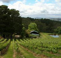 Arranmore Wines - Accommodation Coffs Harbour