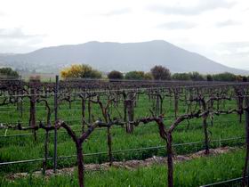 Remarkable View Wines - Accommodation Coffs Harbour 1