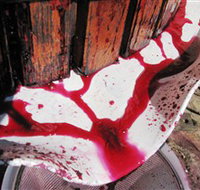 Cradle of Hills McLaren Vale Winery - Accommodation Coffs Harbour