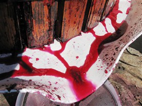 Cradle Of Hills McLaren Vale Winery - Accommodation Coffs Harbour 0