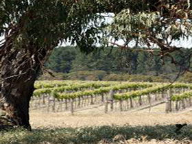 Wangolina Station - Accommodation Coffs Harbour 3