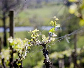 Plumpton VIC Accommodation Coffs Harbour