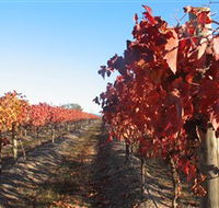 Kooyonga Creek Wines - Accommodation Coffs Harbour
