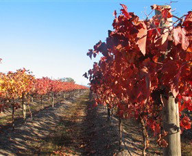 Kooyonga Creek Wines - Accommodation Coffs Harbour 0