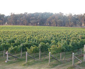 Kooyonga Creek Wines - Accommodation Coffs Harbour 6