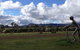 Kooyonga Creek Wines - thumb 3