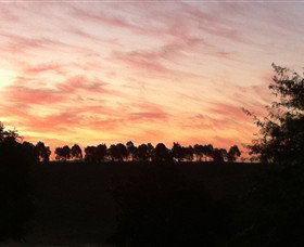 Kooyonga Creek Wines - Accommodation Coffs Harbour 2