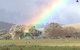 Kooyonga Creek Wines - thumb 5