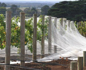 Paradigm Hill - Accommodation Coffs Harbour 1