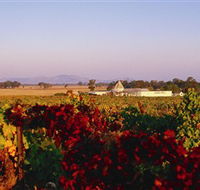 Morris Wines - Accommodation Coffs Harbour