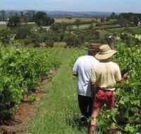 Sir Paz Estate - Accommodation Coffs Harbour
