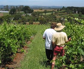 Sir Paz Estate - Accommodation Coffs Harbour 0