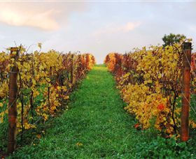 Sir Paz Estate - Accommodation Coffs Harbour 2